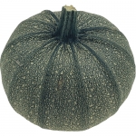 Tondo Chiaro di Nizza