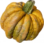 Mongogo de l Heron von Melanie G. (Sonntag, 23. September 2012