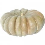 Moranga Coroa von Torsten W. (Freitag, 06. September 2019