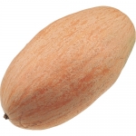 Pink Jumbo Banana BIO