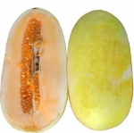 Melon Voatango par Françoise N. (mardi 23 août, 2022