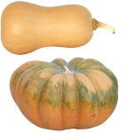 Pumpkin 5+ Samen Kürbis Mini Green Hubbard Squash Graines Saatgut Seeds