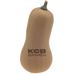 Butternut 1744 Supreme F1