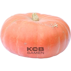 Cinderella Carriage F1