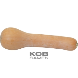 De Nice a fruits longe