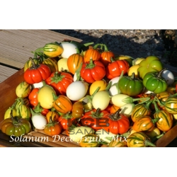 Decofruit Mix Solanum