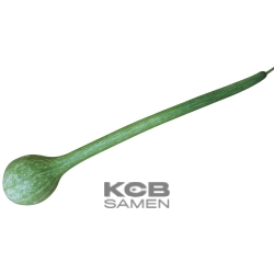 Dipper Extra Long Handle