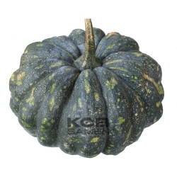 Fagtong Thon Amphan  346  F1