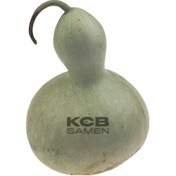 Flaschenkuerbis gross