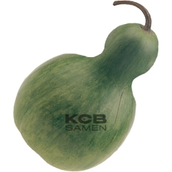 Flaschenkuerbis midi