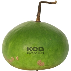 Giant Bushel Canteen