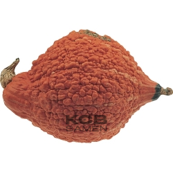 Golden Hubbard gewarzt