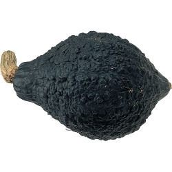 Gr  Hubbard Chicago Wart 