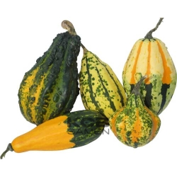 Harrowsmith Select BIO