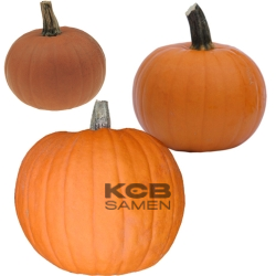 KCB Halloween Mischung