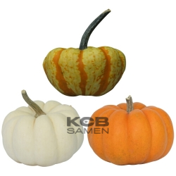 KCB Mikrowellen Mischung