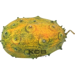 Kiwano   Zackengurken 