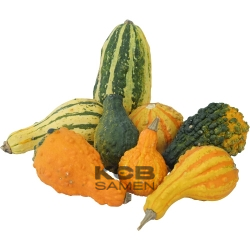 Kleine gewarzte Professional