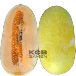 Melon Voatango