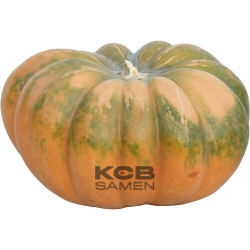 Muscade de Provence BIO