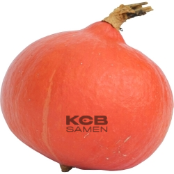 Orange Summer F1 BIO