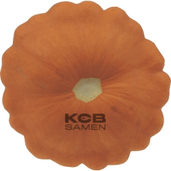 Patisson Golden Marbre