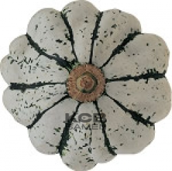 Patisson blanc panache vert