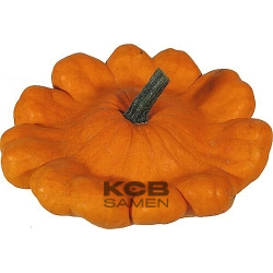 Patisson de l Ile Maurice