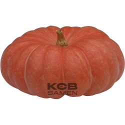 Rouge vif d Etampes BIO