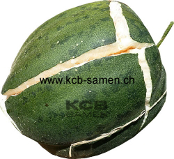 Snap Melon