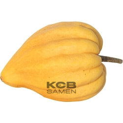 Thelma Sanders Sweet Potato