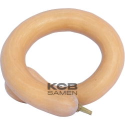 Tromba d Albenga BIO