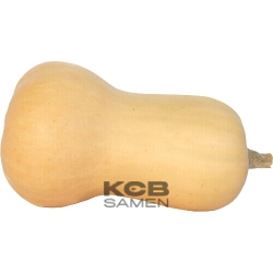 Waltham Butternut BIO