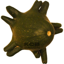 Yugoslavian Fingers Green